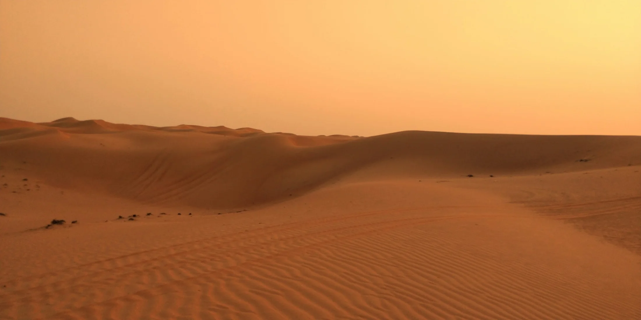 Rolling sand dunes in the UAE desert.